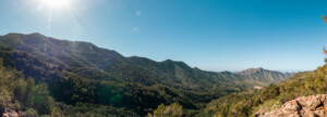 IMG 5924-Pano