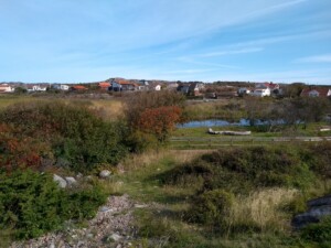 IMG 20190919 110045383