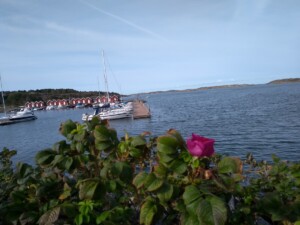 IMG 20190919 121159979