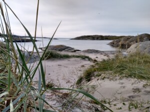 IMG 20190919 133957602 HDR