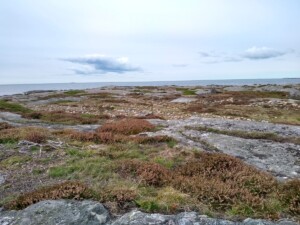 IMG 20190919 135530385 HDR