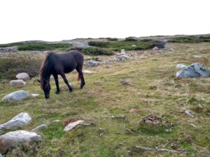 IMG 20190919 140756557 HDR