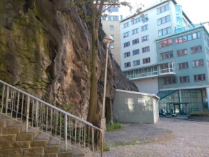 IMG 20190921 132606219