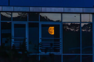 CD8A5361-Enhanced-NR