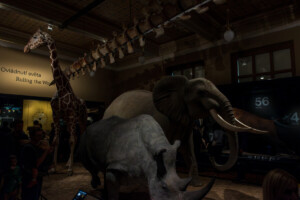 CD8A0743-Enhanced-NR