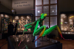 CD8A0745-Enhanced-NR