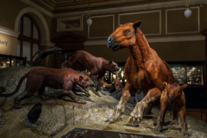 CD8A0767-Enhanced-NR